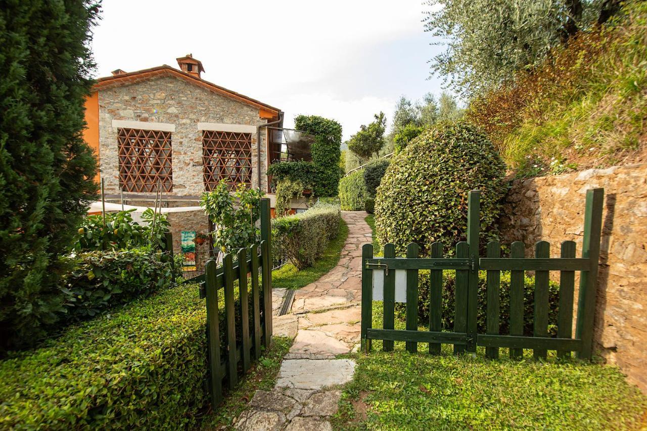 Casetta Di Butia, Gelsomino Apartment Borgo a Mozzano Bagian luar foto