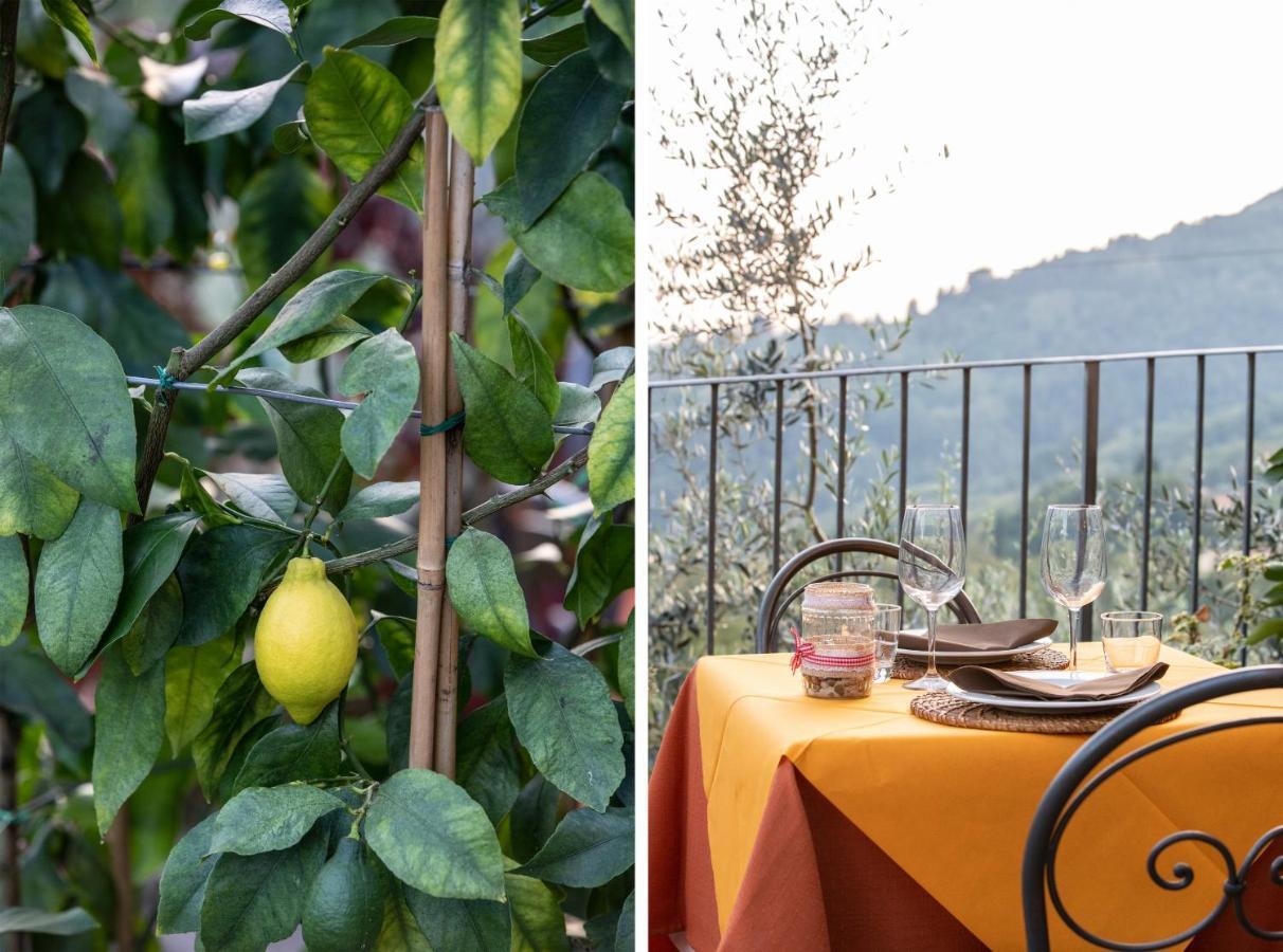 Casetta Di Butia, Gelsomino Apartment Borgo a Mozzano Bagian luar foto